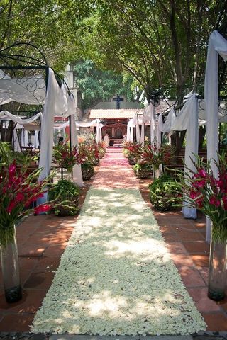 Ceremonia al aire libre con pasillo de pétalos en degradé