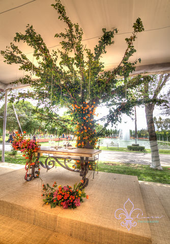 Meaa de novios con hermosa árbol de los deseos de Back