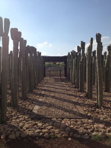 Camino de órganos para llegar al civil